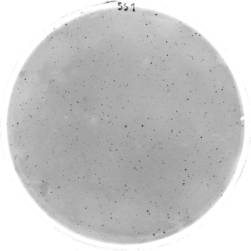 Scan SS00001