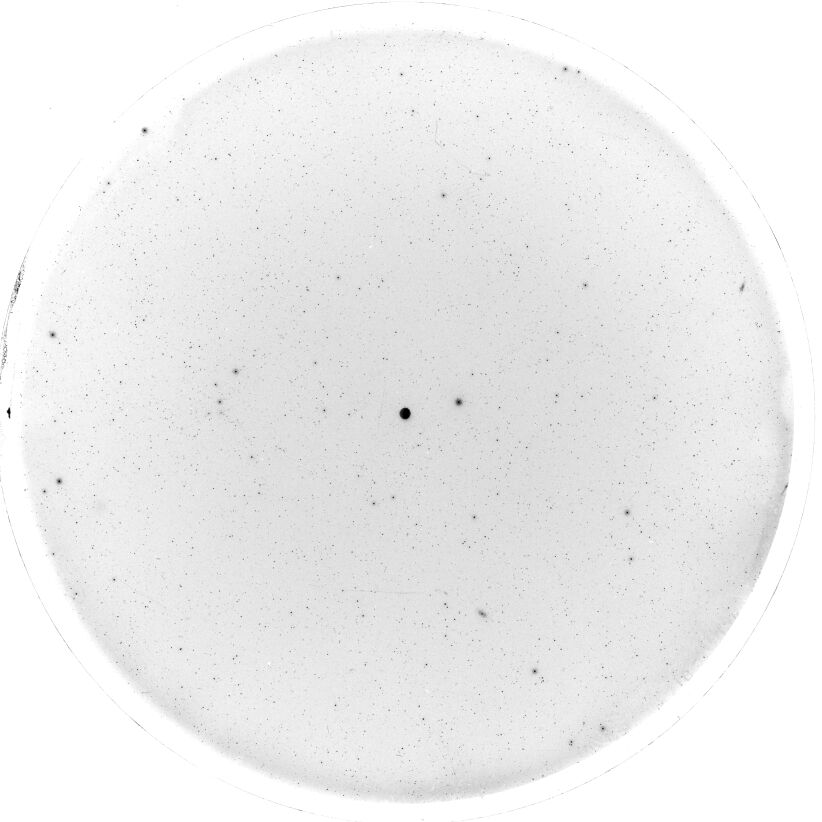 Scan SS00002