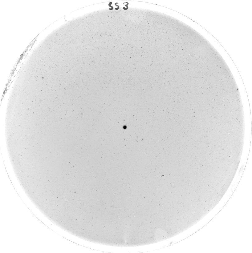 Scan SS00003