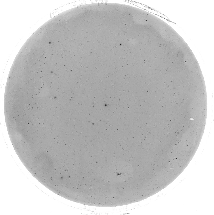 Scan SS00004