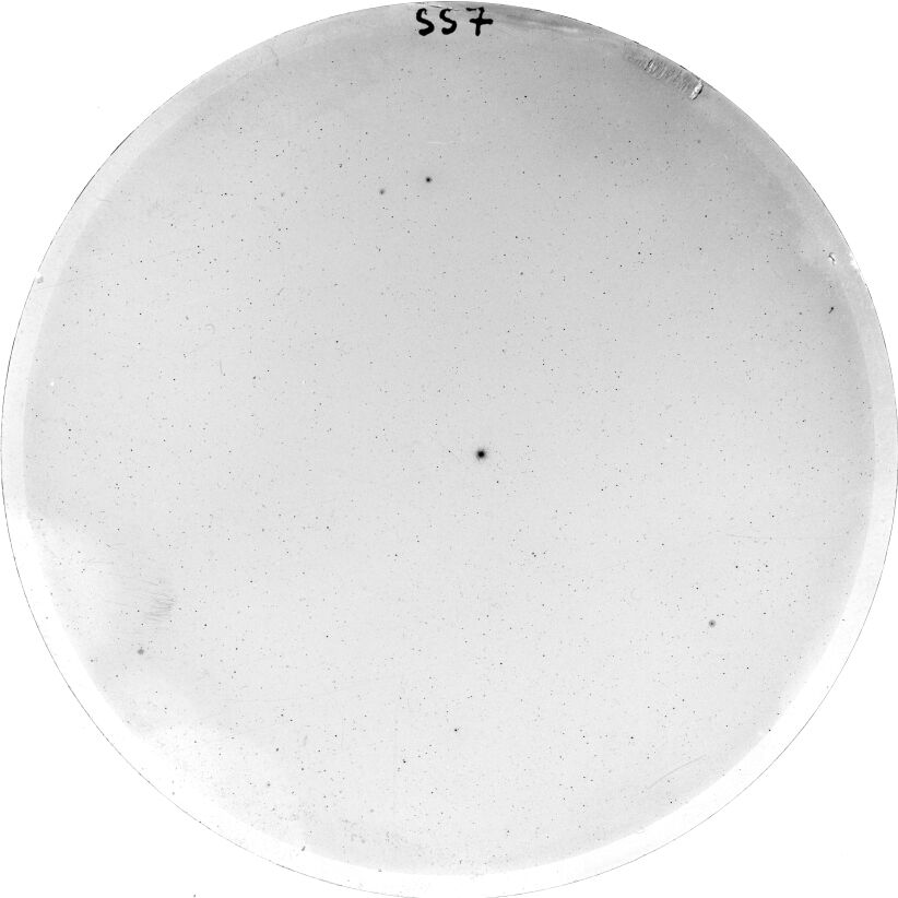 Scan SS00007