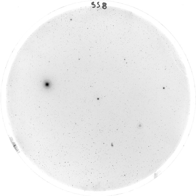 Scan SS00008