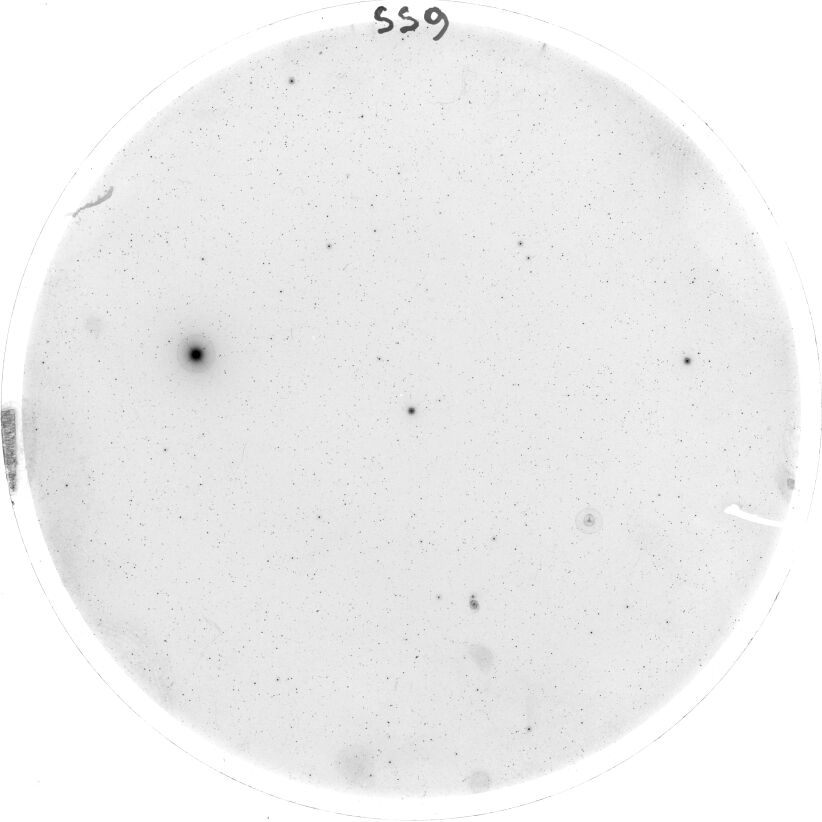 Scan SS00009