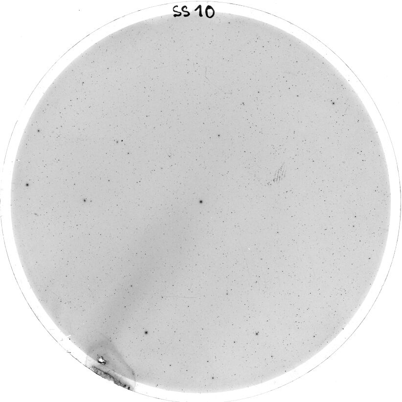 Scan SS00010