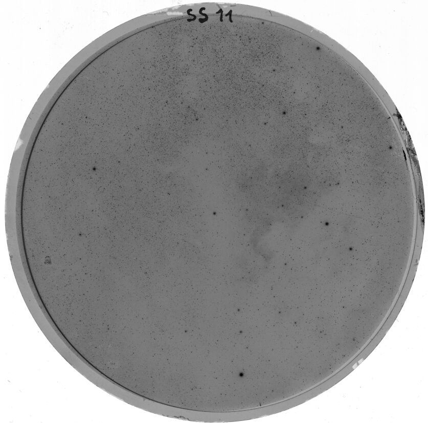 Scan SS00011