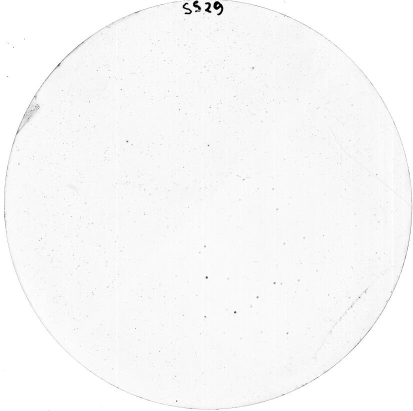 Scan SS00029