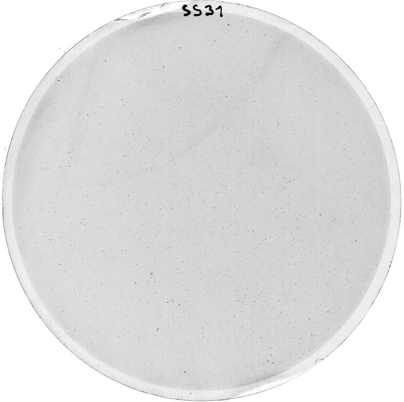 Scan SS00031