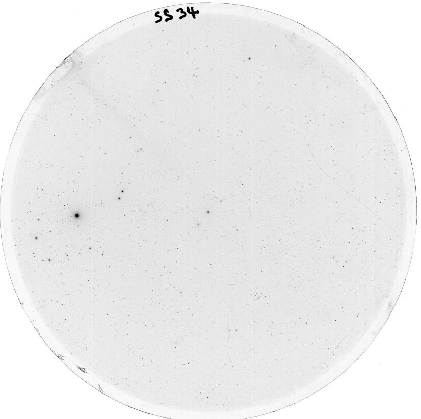 Scan SS00034