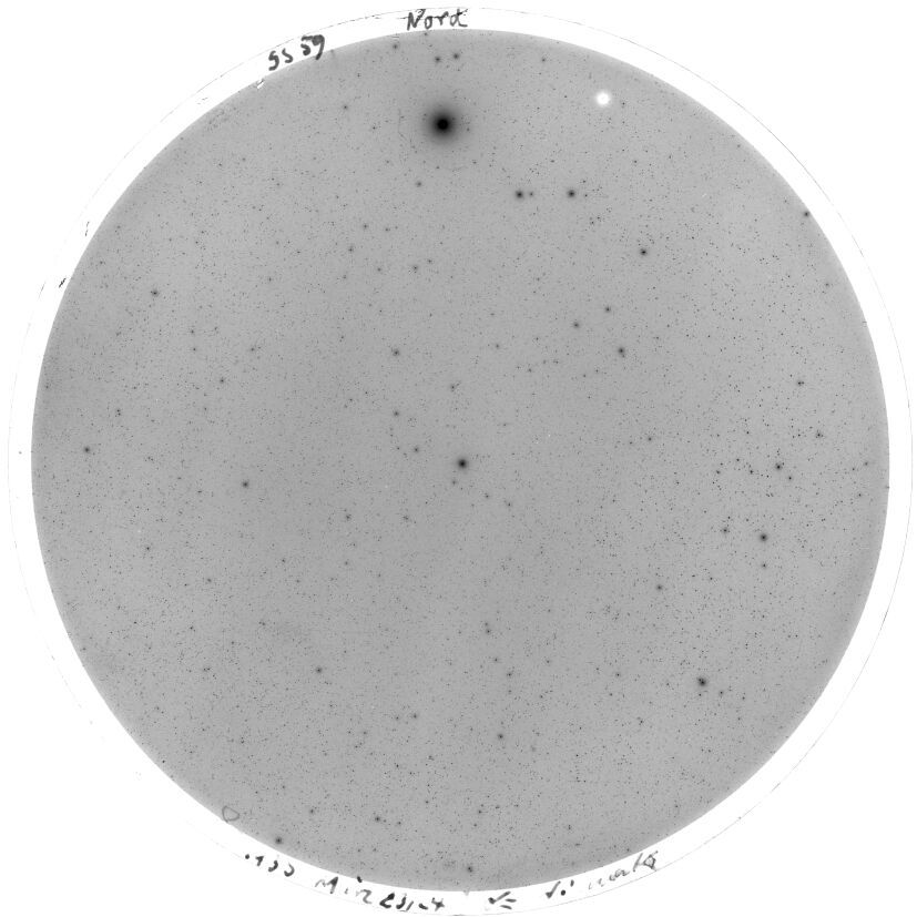 Scan SS00059