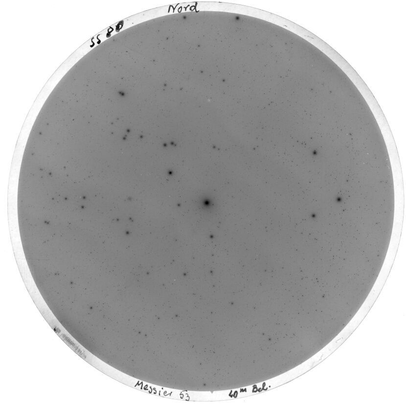 Scan SS00080
