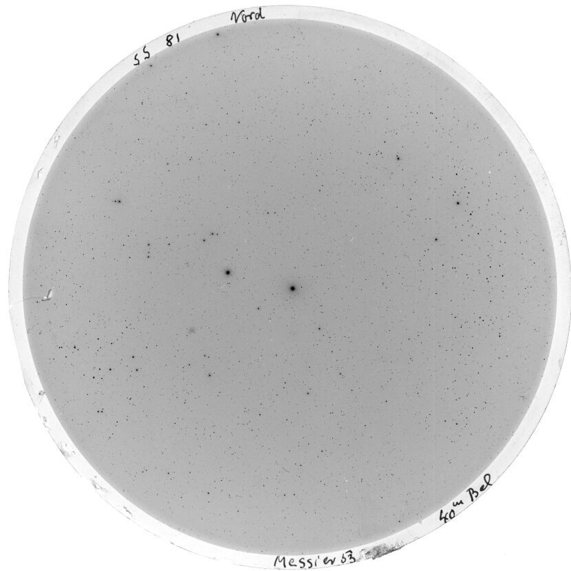Scan SS00081