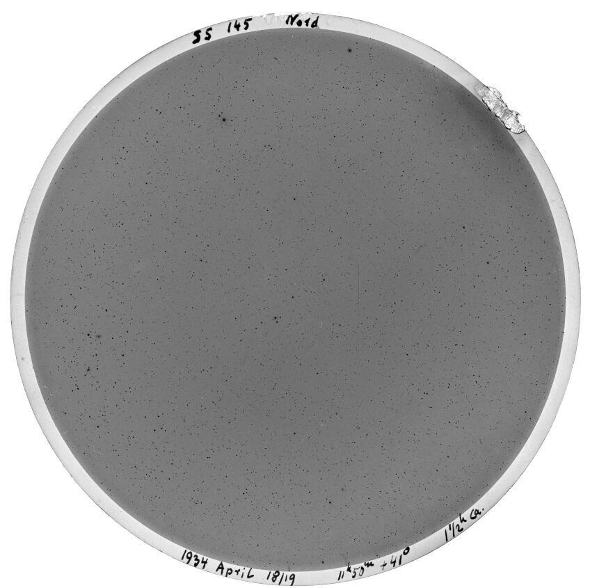 Scan SS00145