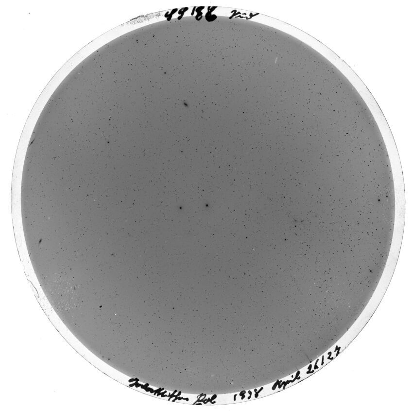 Scan SS00186