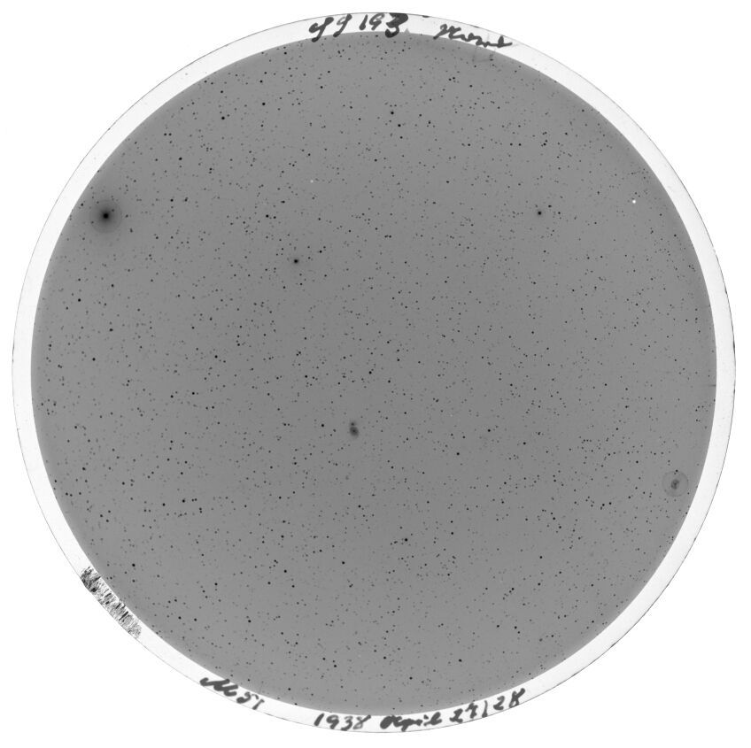 Scan SS00193