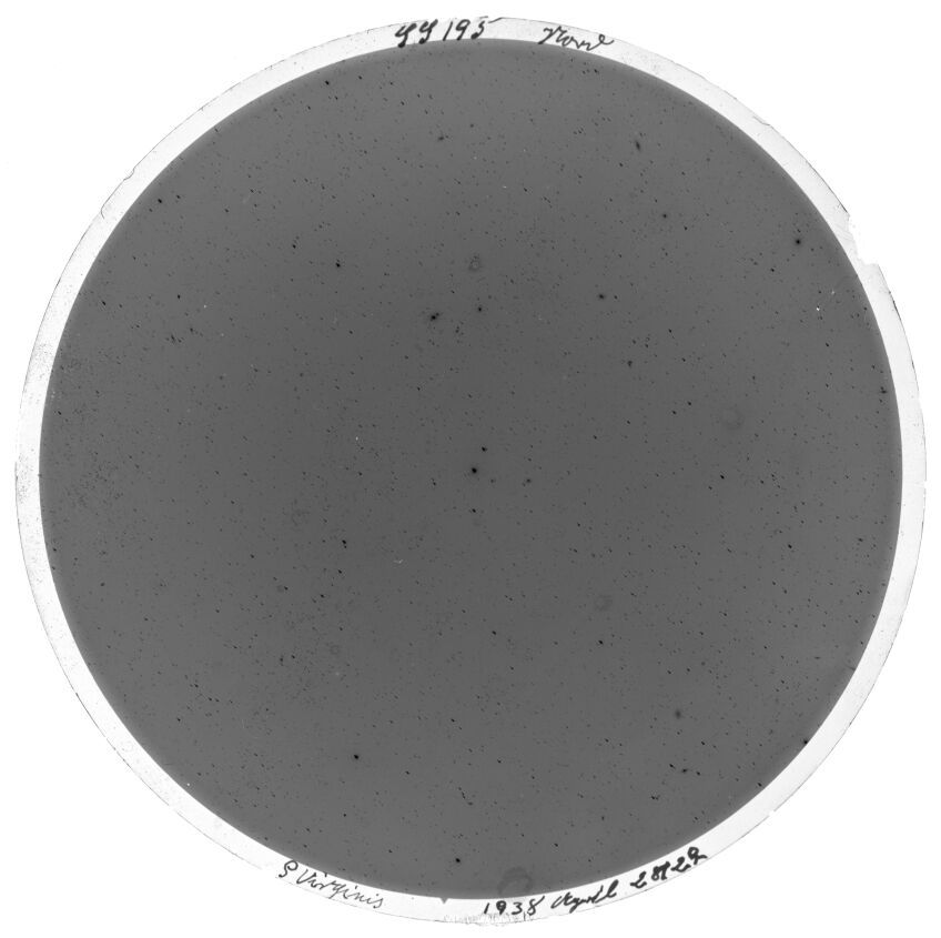 Scan SS00195
