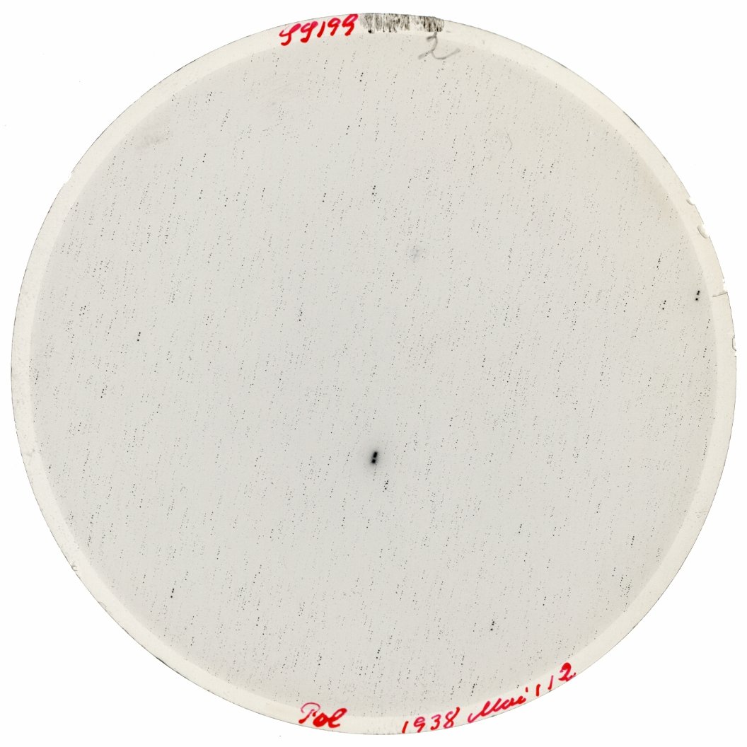 Scan SS00199