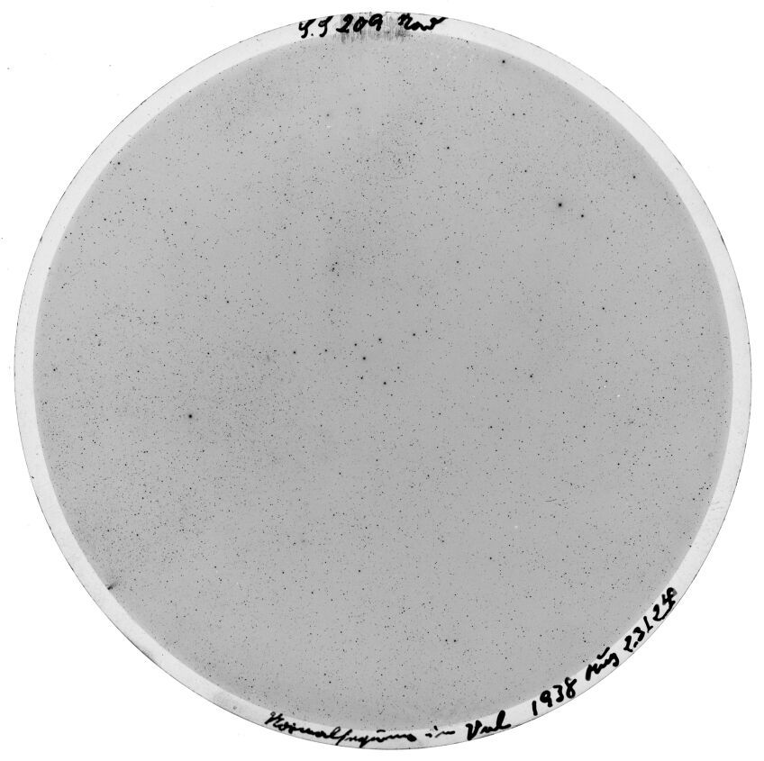 Scan SS00209