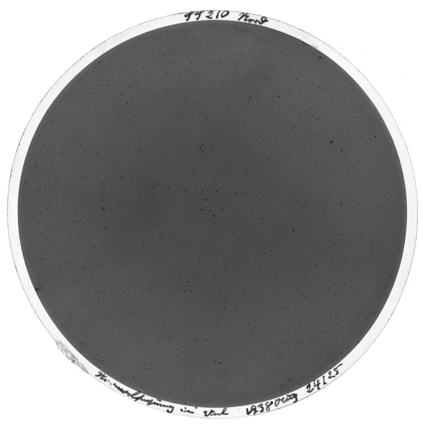 Scan SS00210