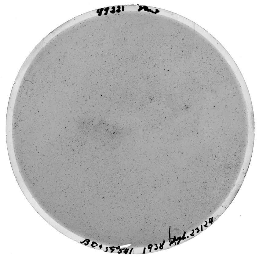 Scan SS00221