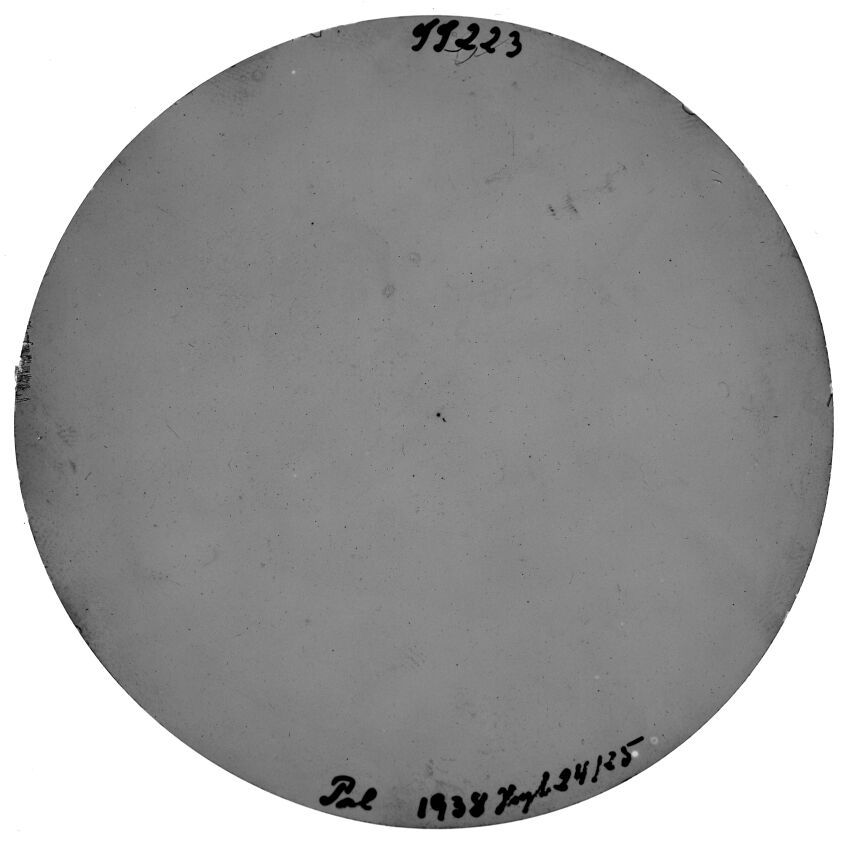 Scan SS00223