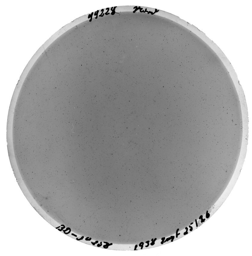 Scan SS00228