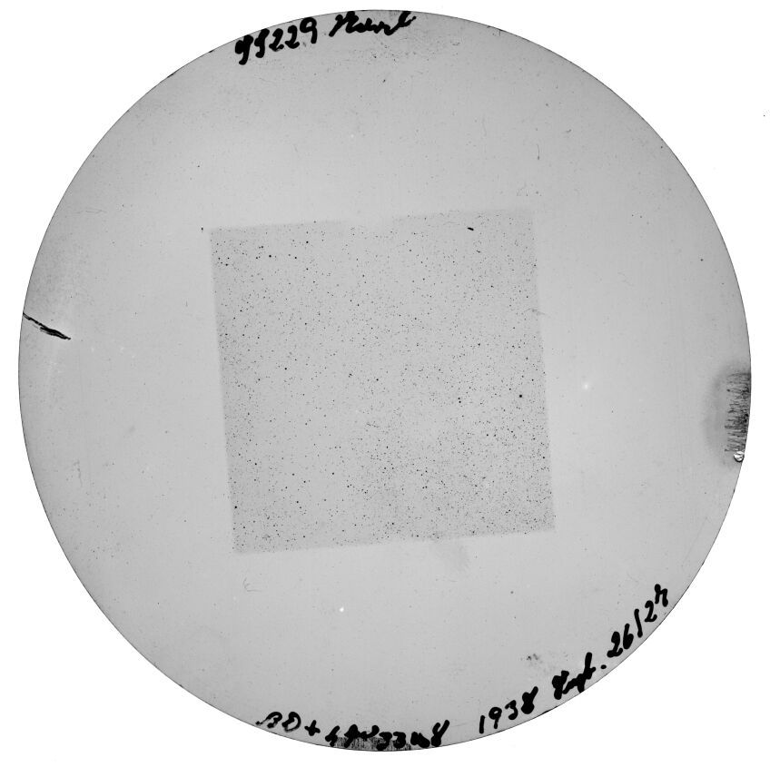 Scan SS00229