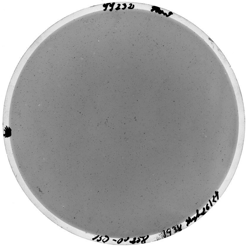 Scan SS00232