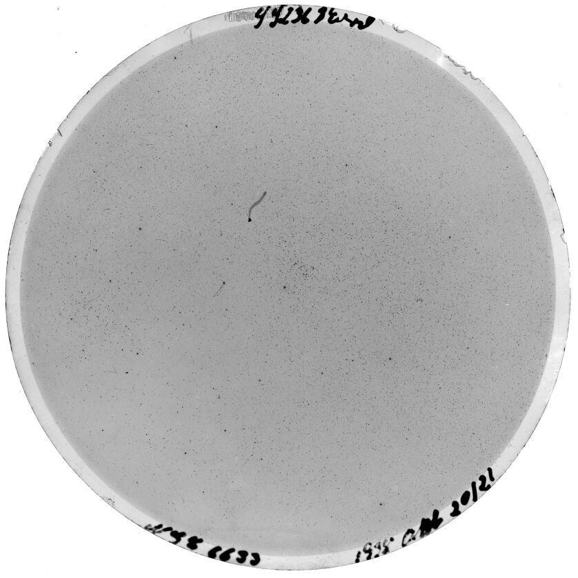 Scan SS00236