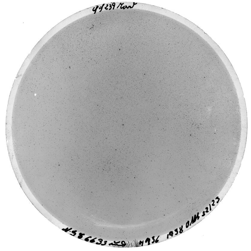 Scan SS00239