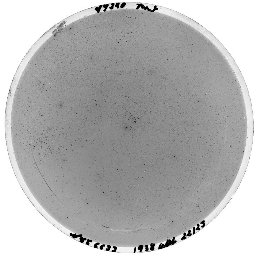 Scan SS00240
