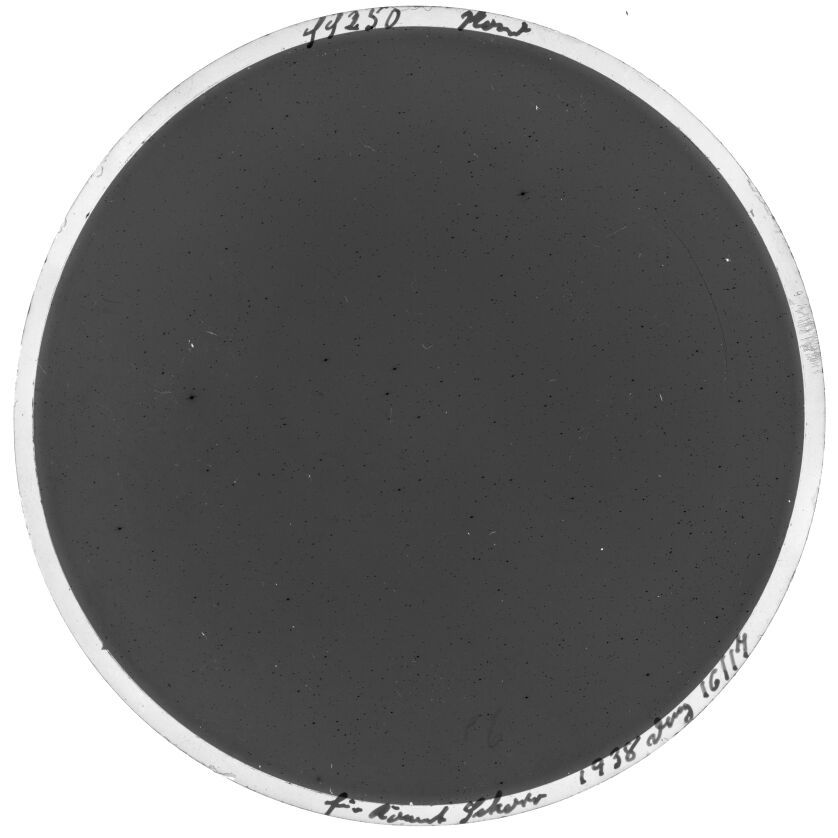 Scan SS00250