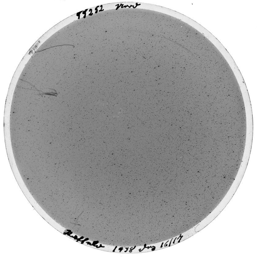 Scan SS00252