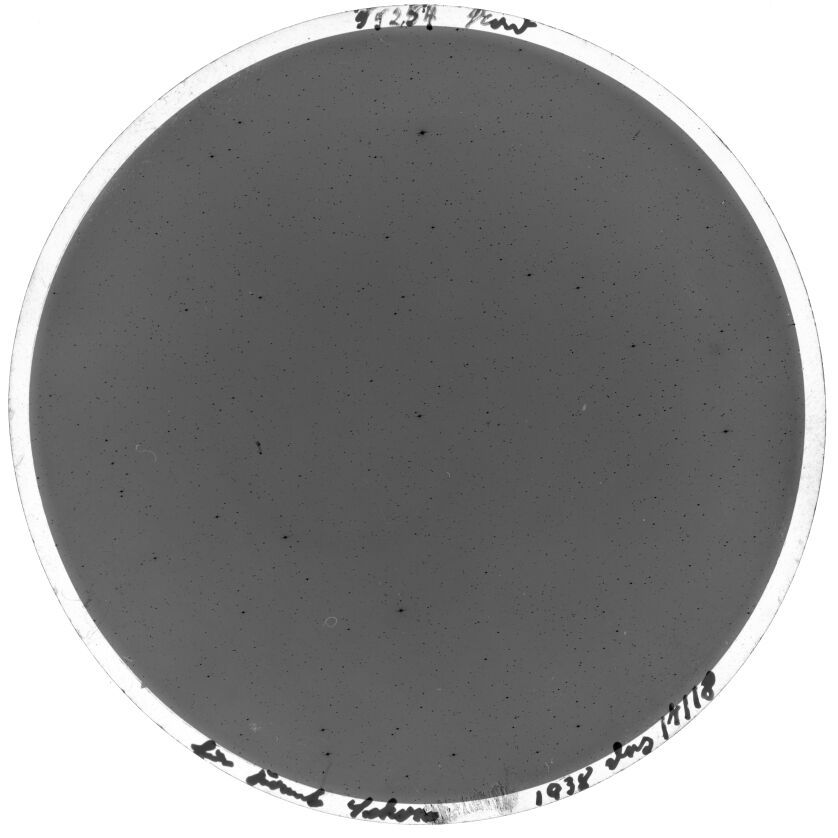 Scan SS00254
