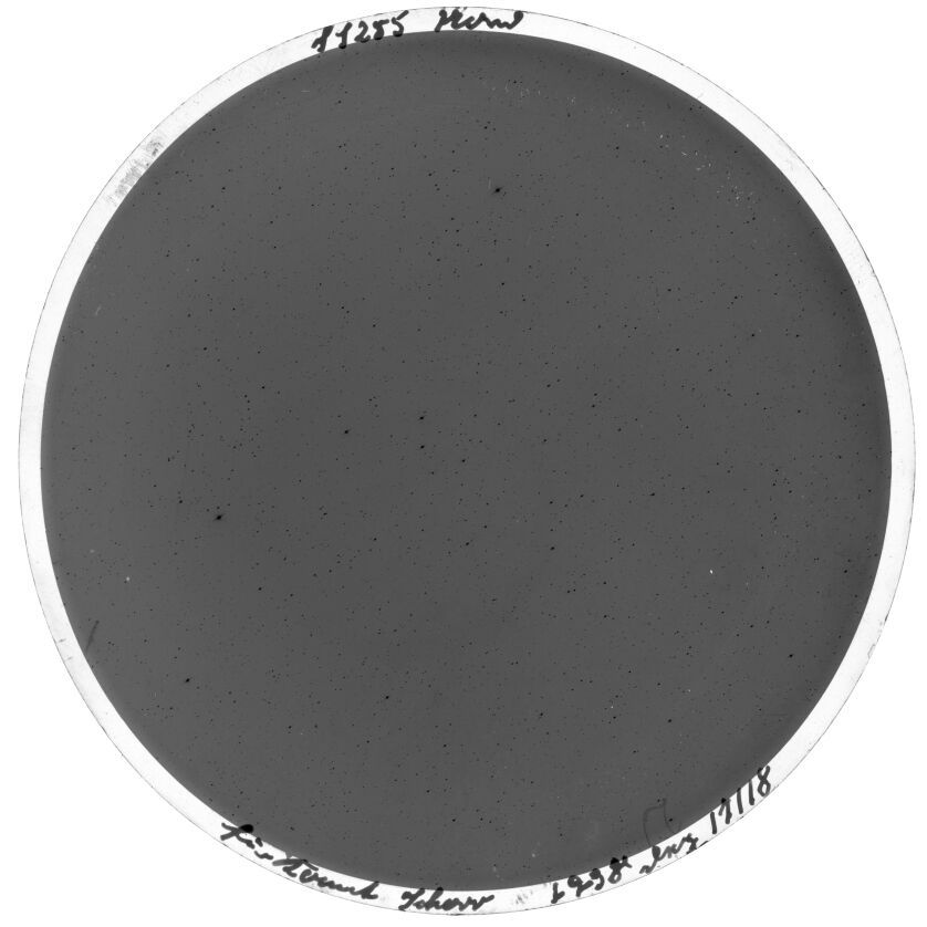 Scan SS00255