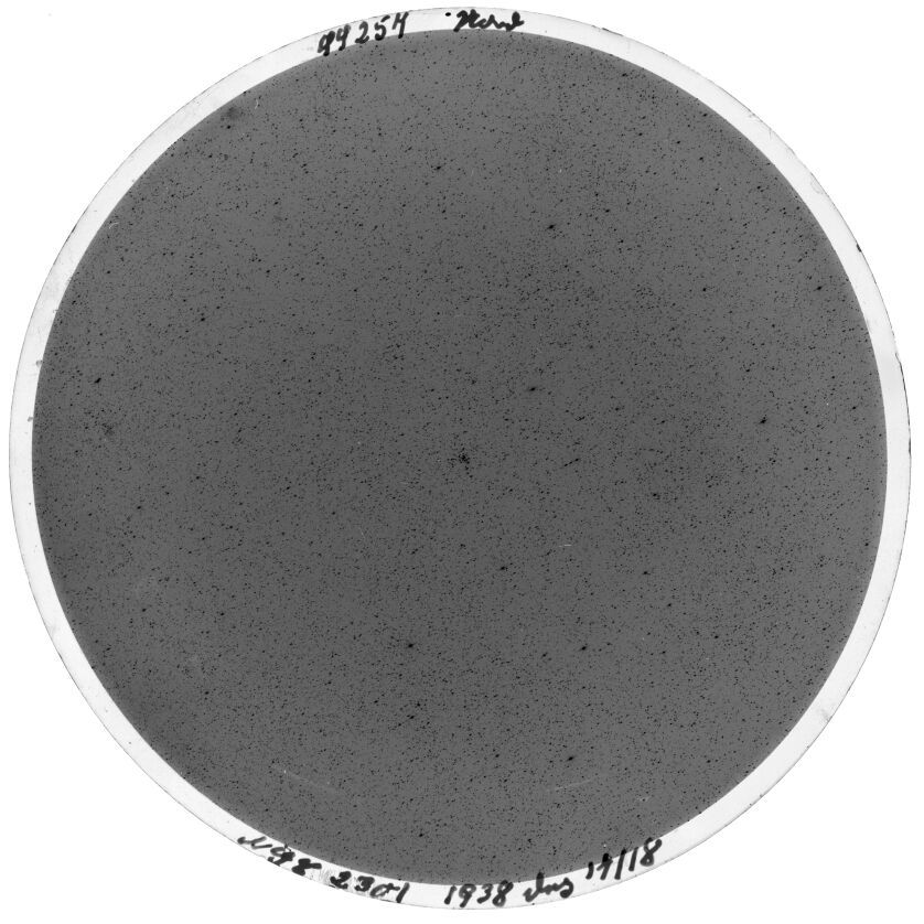 Scan SS00257