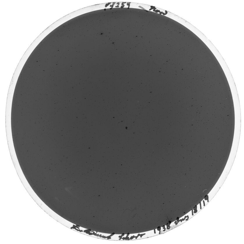 Scan SS00259