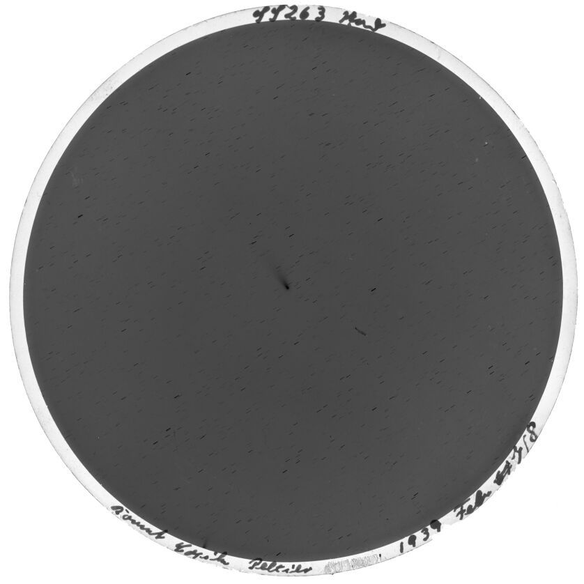 Scan SS00263