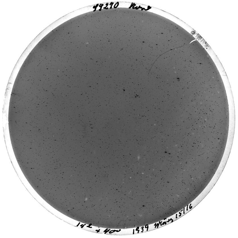 Scan SS00270
