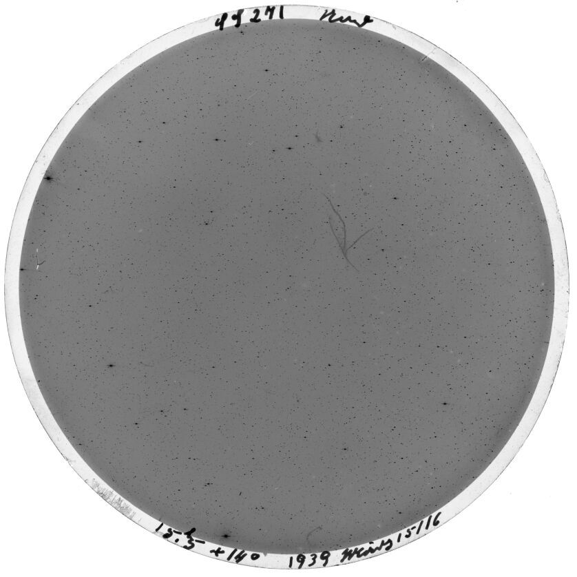 Scan SS00271