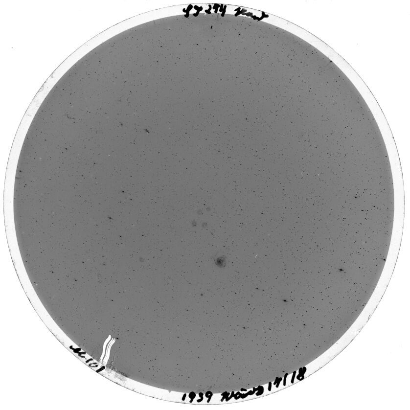 Scan SS00274