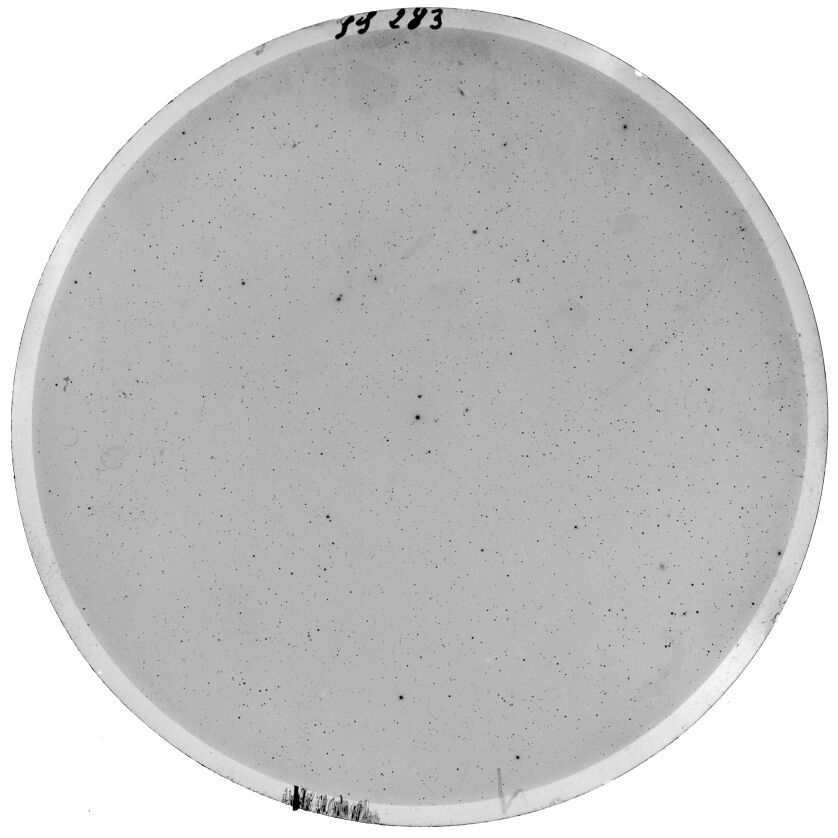 Scan SS00283