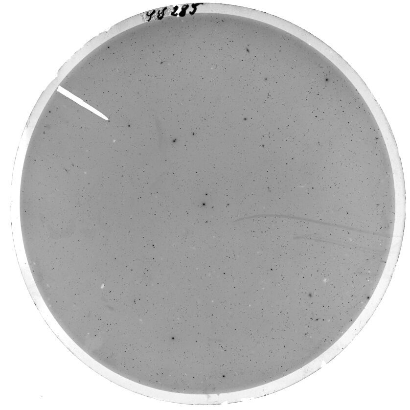 Scan SS00285