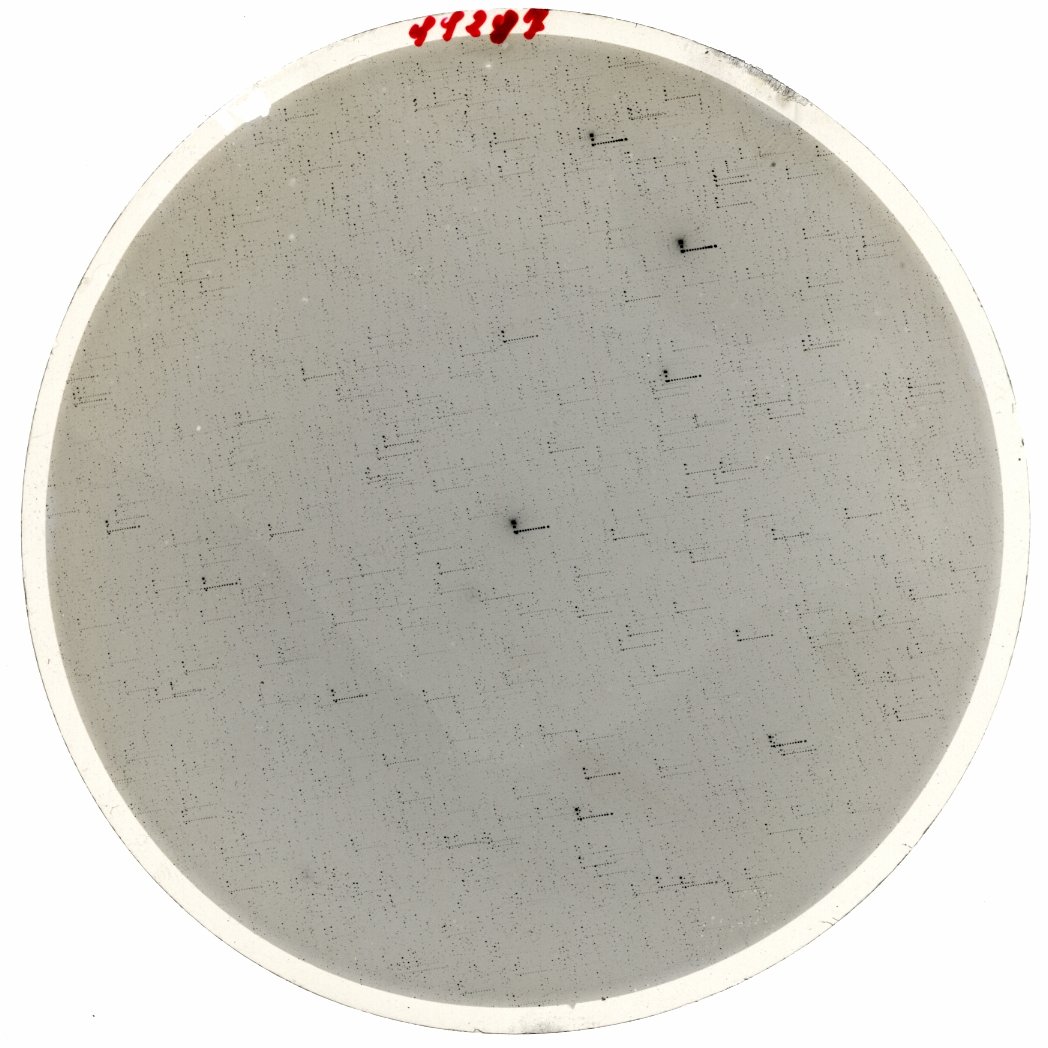 Scan SS00287