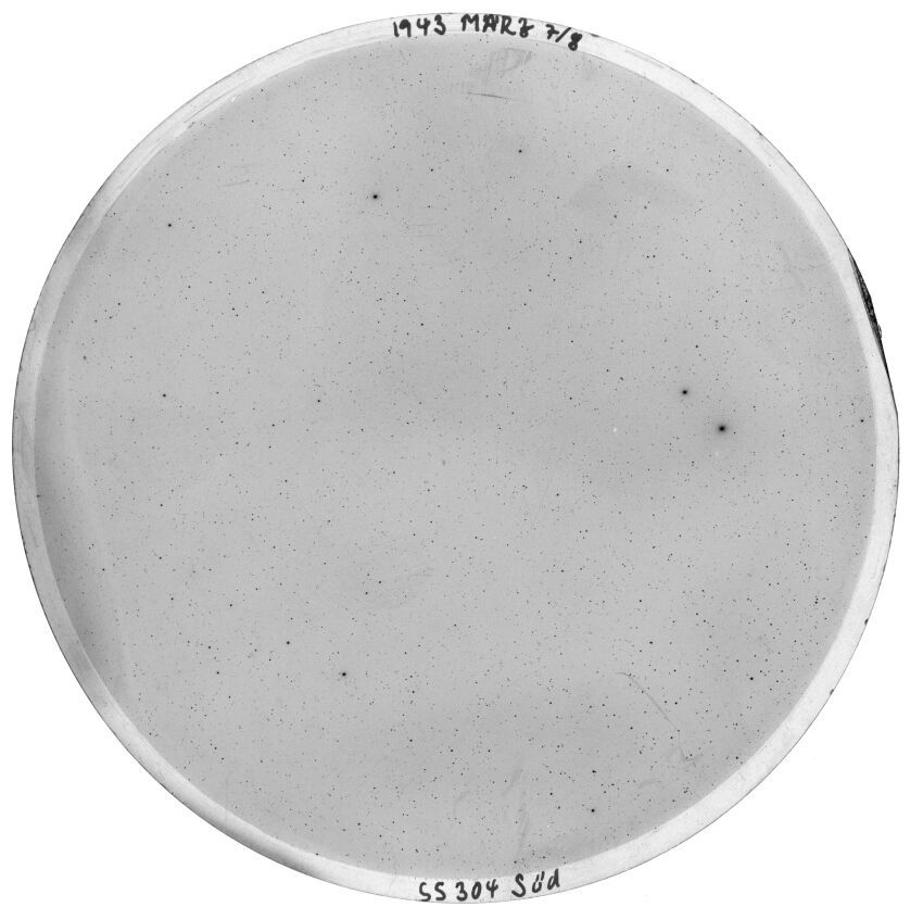 Scan SS00304