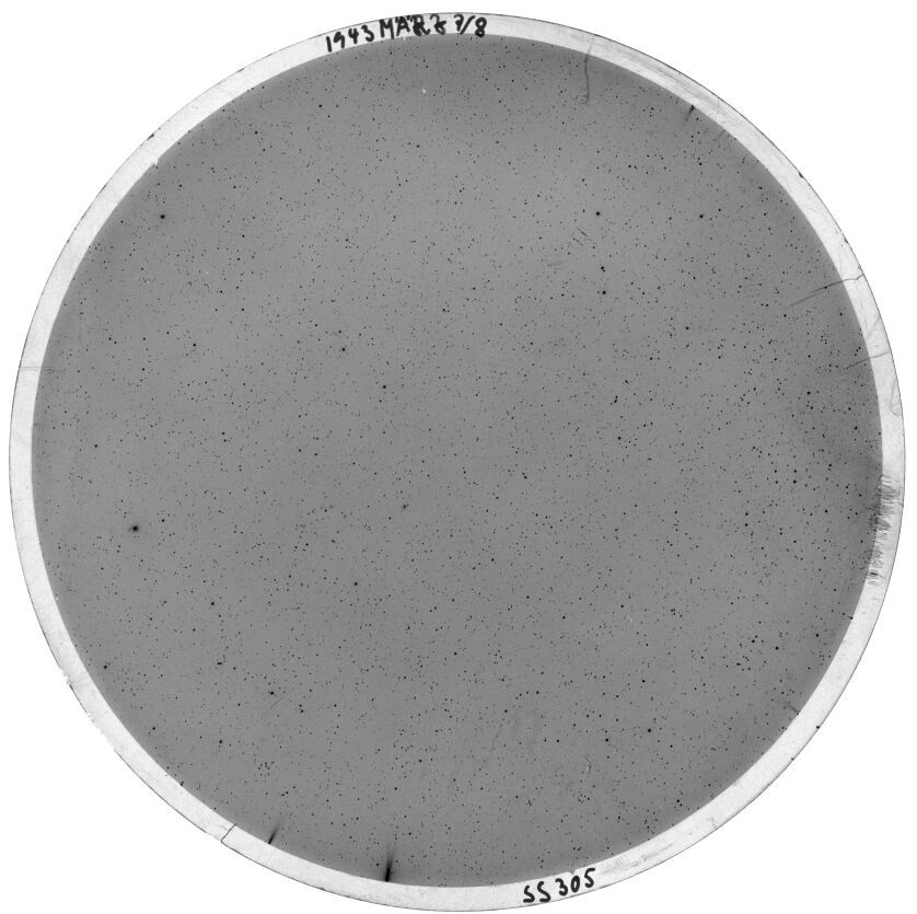 Scan SS00305