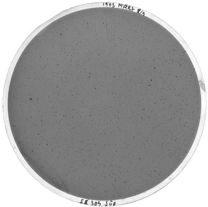 Scan SS00309