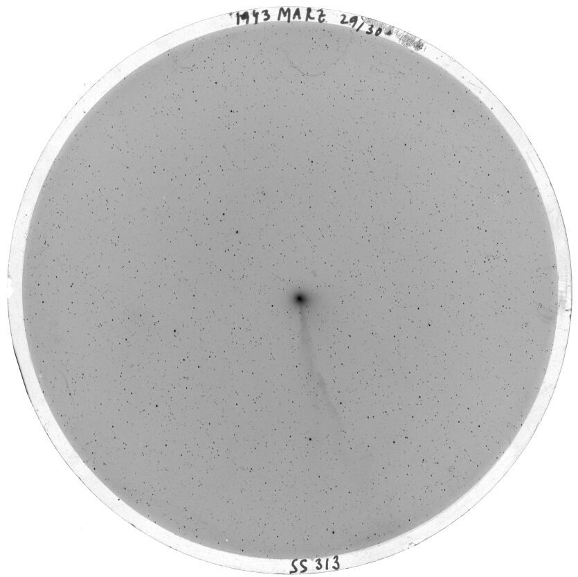 Scan SS00313
