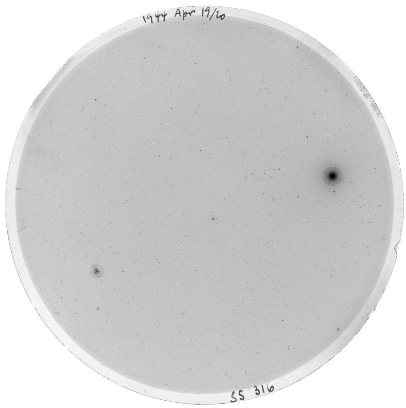 Scan SS00316