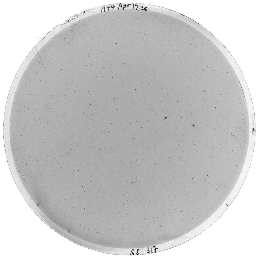Scan SS00317