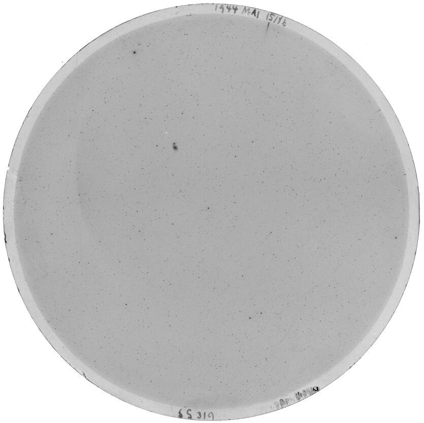 Scan SS00319